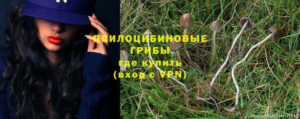 первитин Белоозёрский