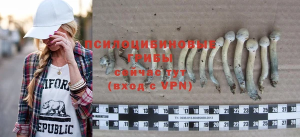 первитин Белоозёрский