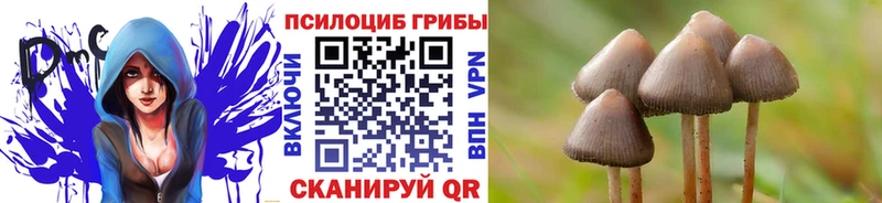 Псилоцибиновые грибы мухоморы Верхний Уфалей