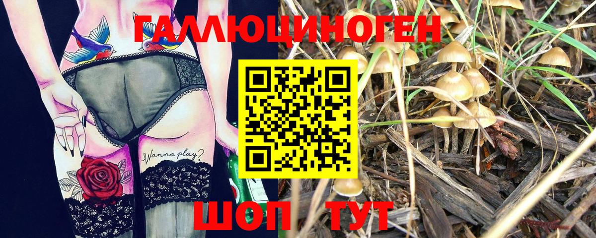 где найти   Вход с VPN  Галлюциногенные грибы прущие грибы  Верхний Уфалей  Галлюциногенные грибы прущие грибы 